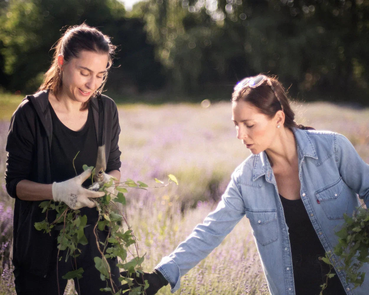 farfalla – a Great Place To Work