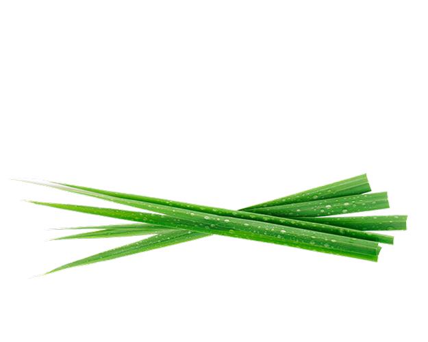 Lemongrass