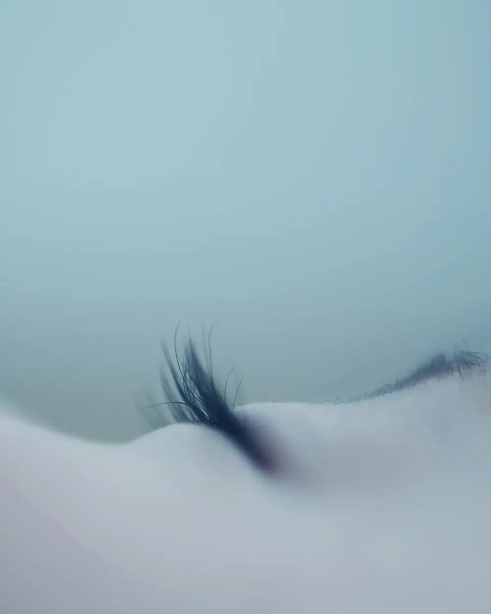 Erholsamer Schlaf - Workshop