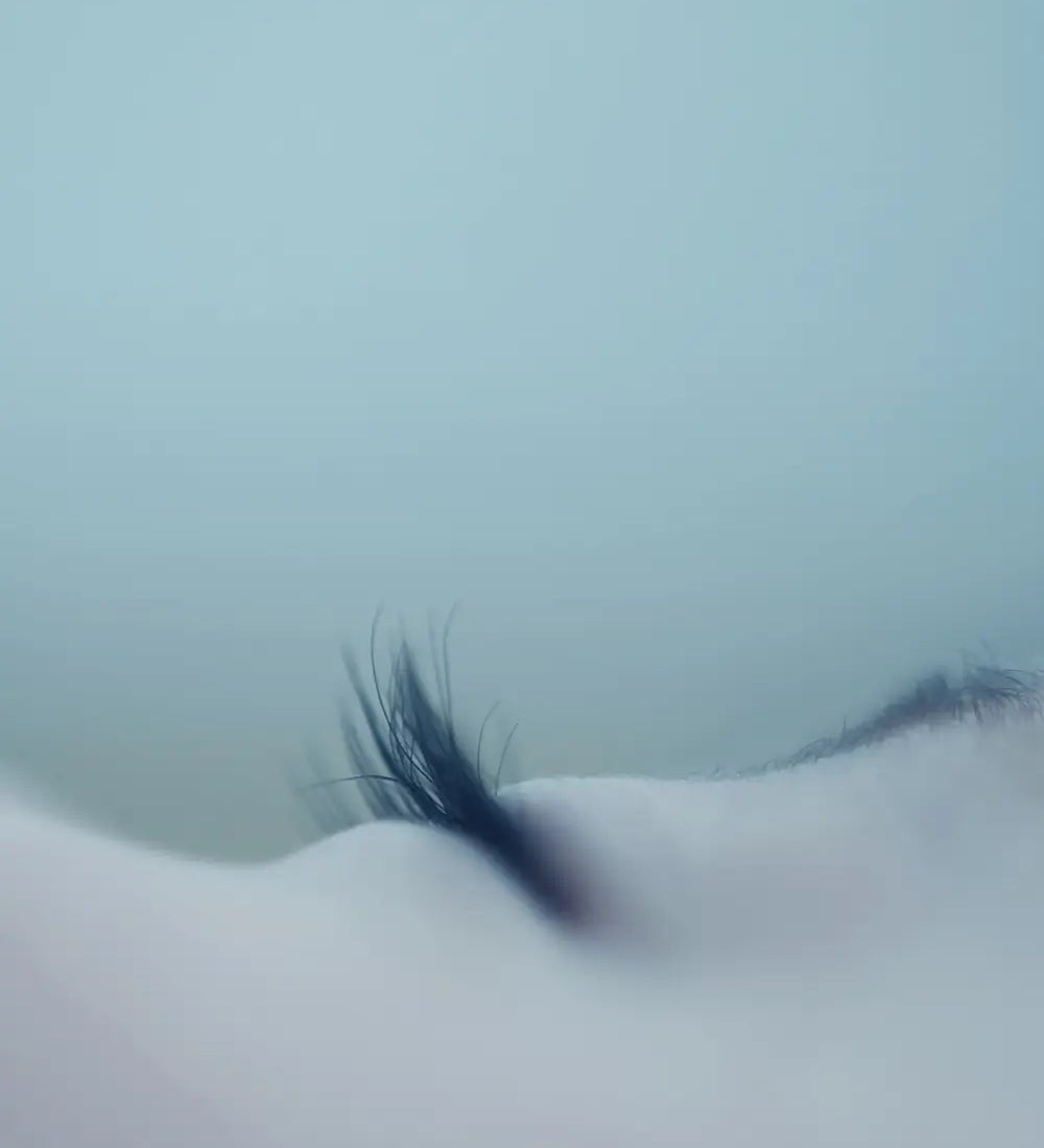 Entspannt ein- & durchschlafen in der Nacht