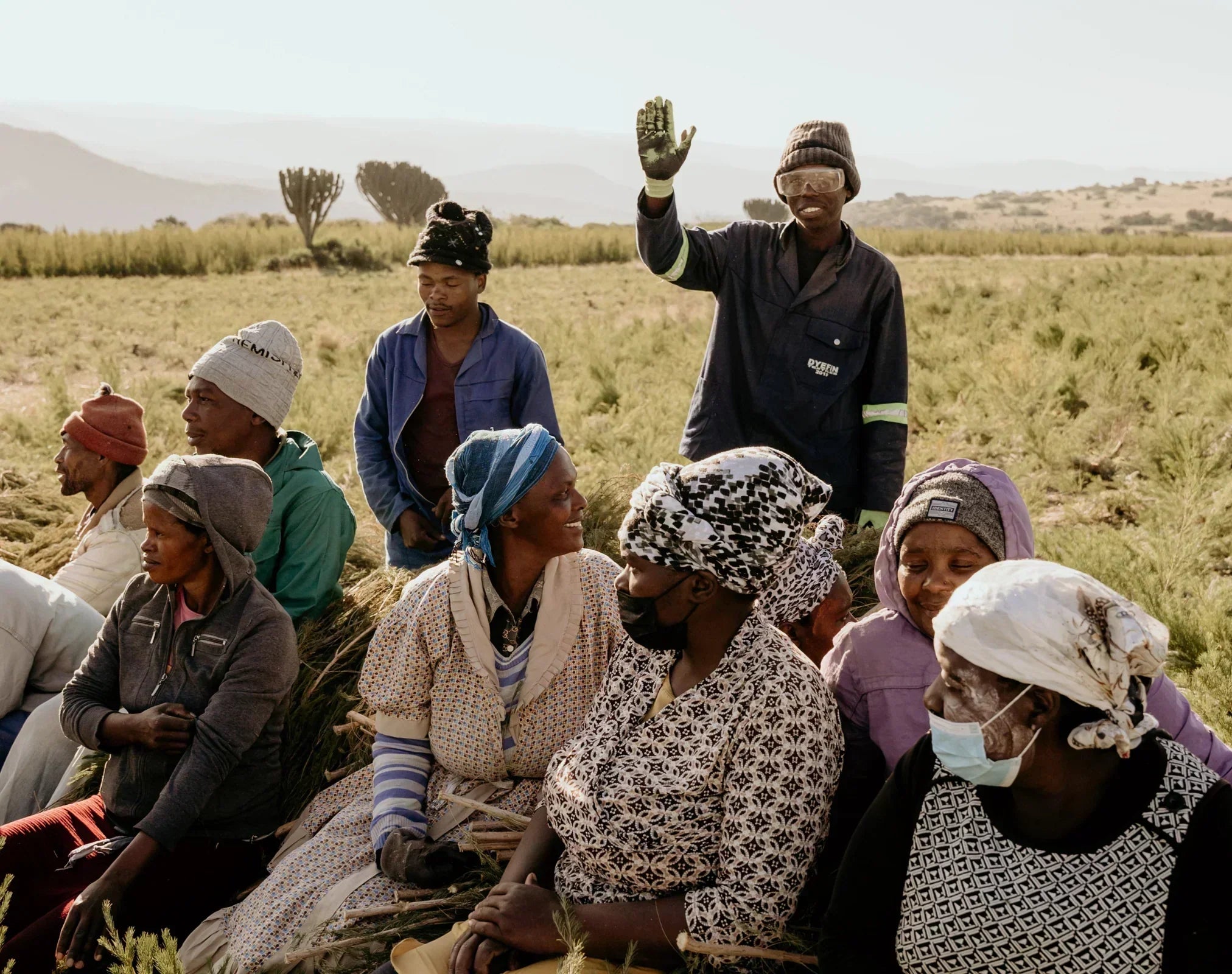 Ein Oscar für ätherische Öle: farfalla Grand Cru