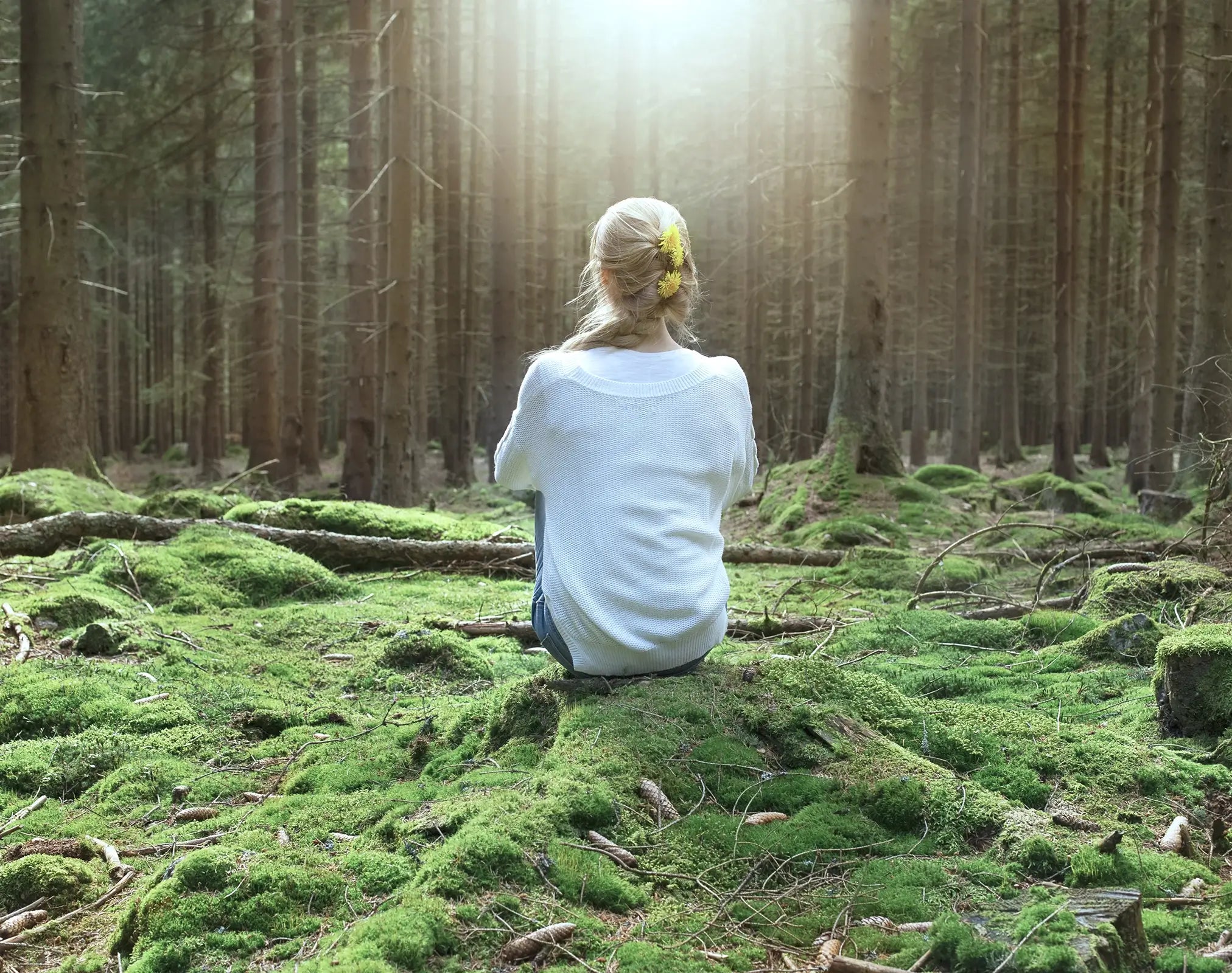 Waldbaden gegen Stress und Burnout