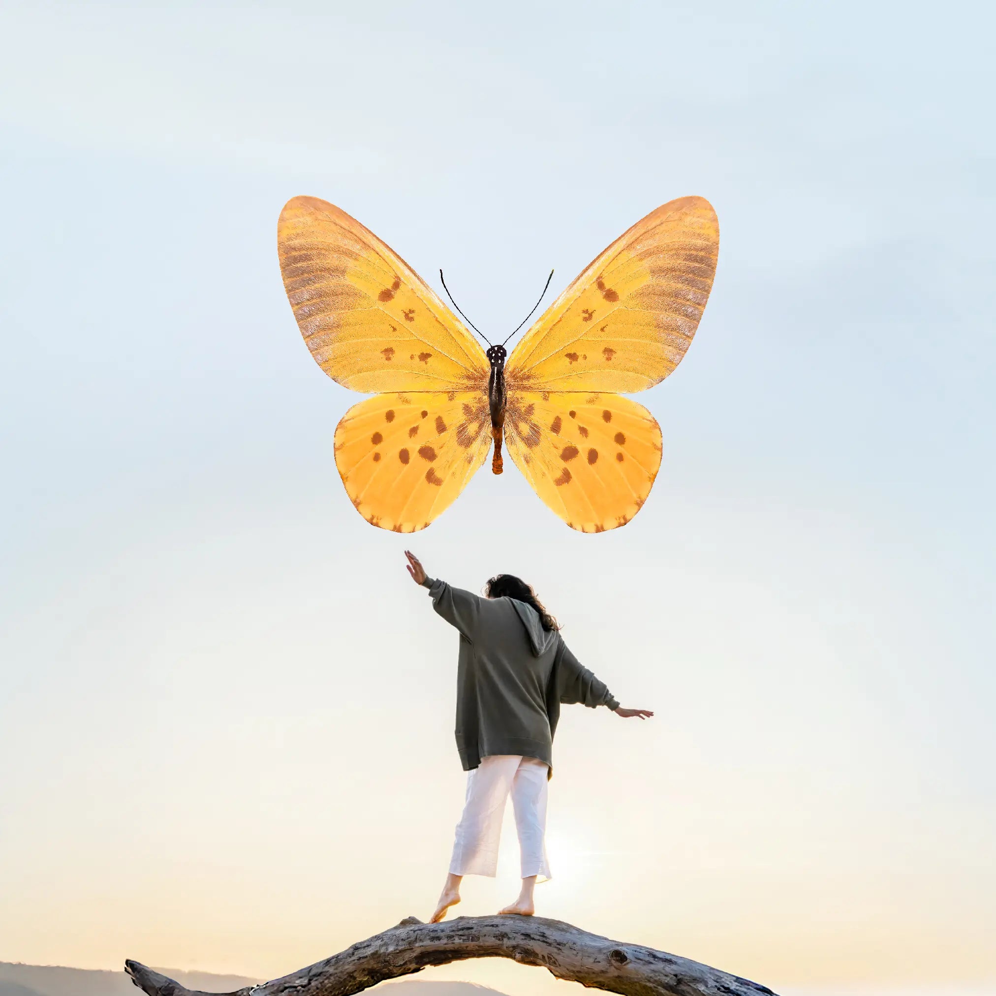 Frau in grauem Pullover balanciert auf Baumstamm mit großem orangefarbenem Schmetterling vor hellem Himmel