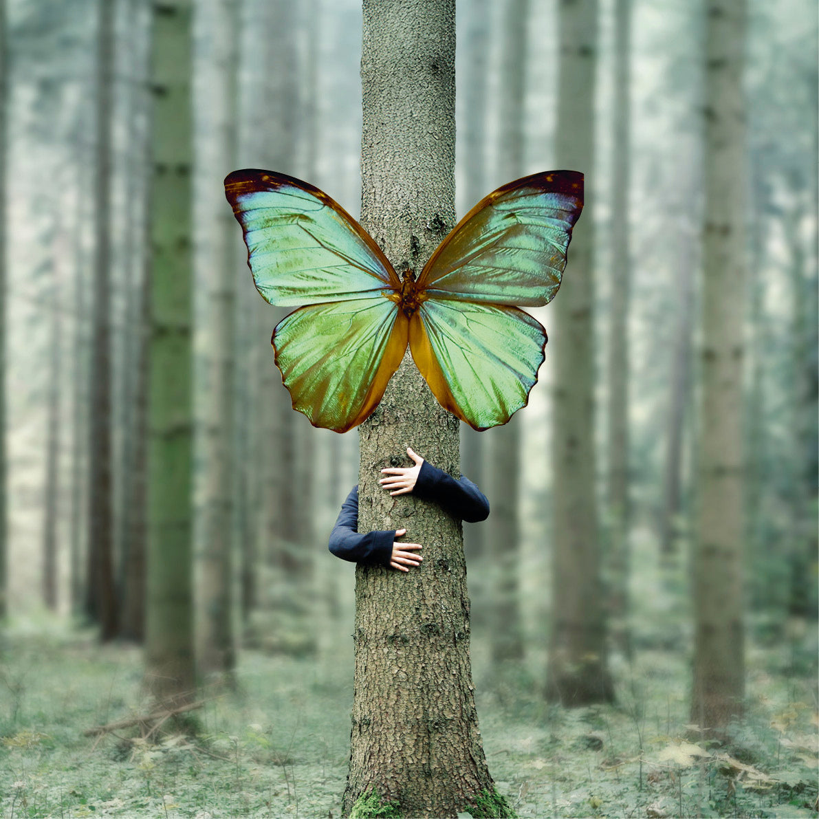 Ligne corps | Édition spéciale