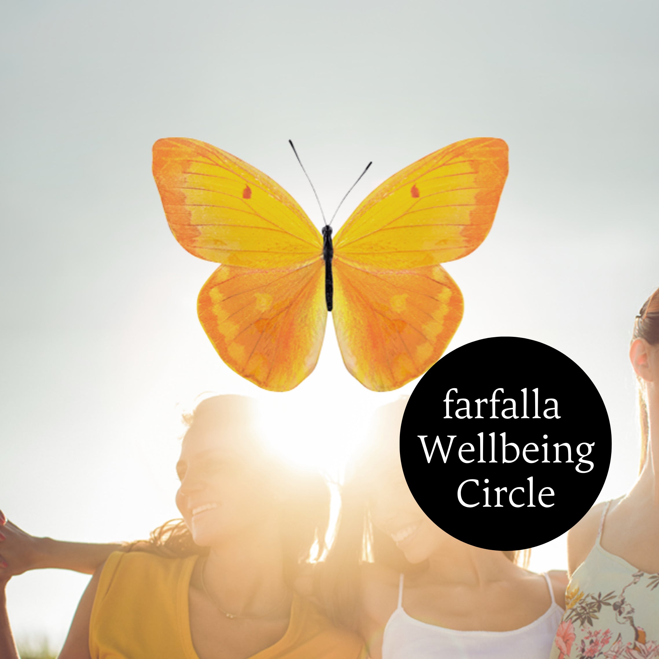 wellbeing-circle.webp
